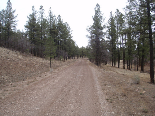 the road is in good condition.